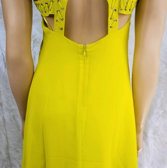 Naked zebra dress - Picture 4 of 6